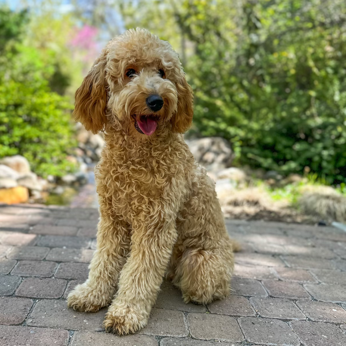 Ruby