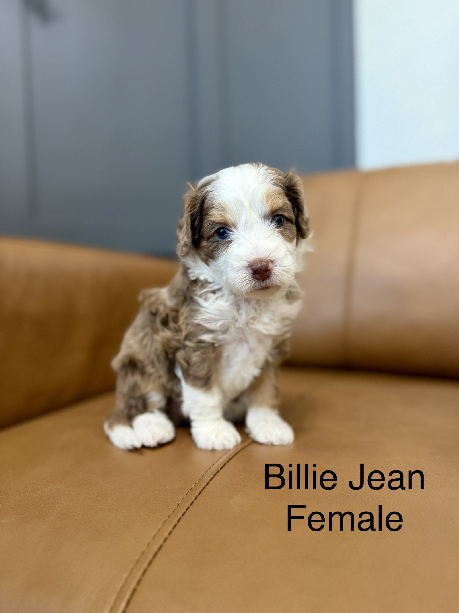 Billie Jean