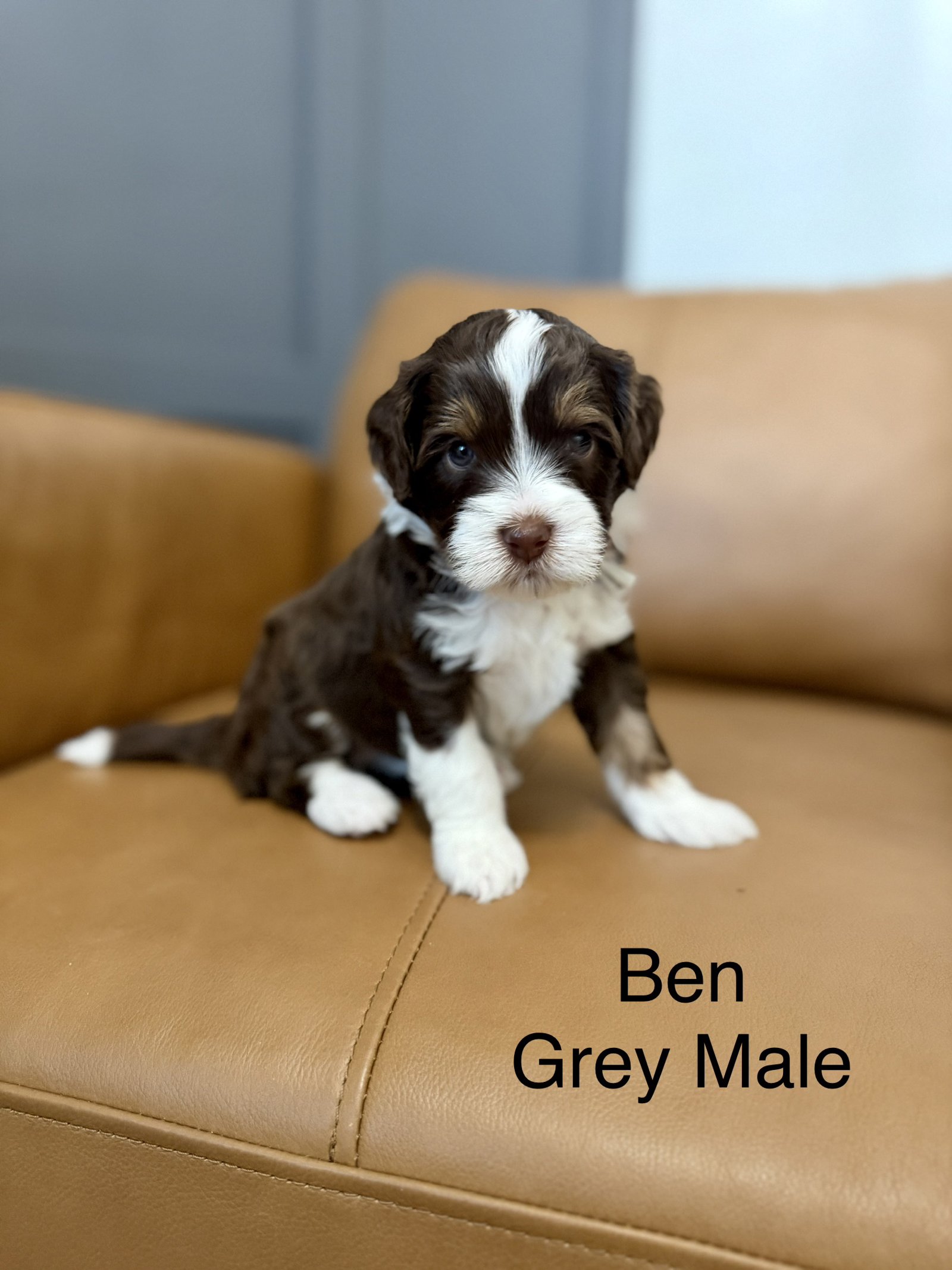 Ben