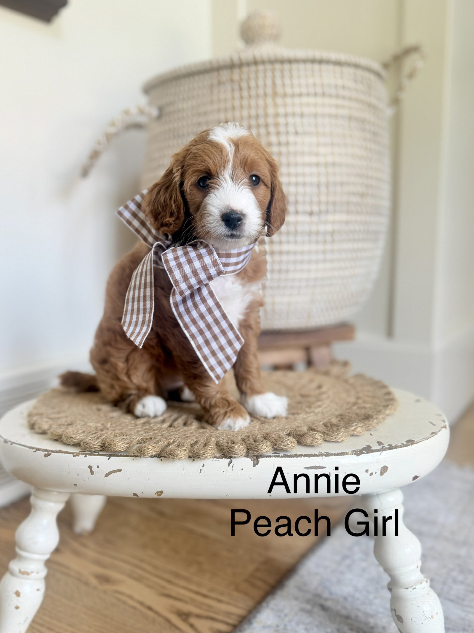 Annie